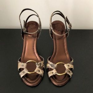 JCrew Genuine Snakeskin Wedges